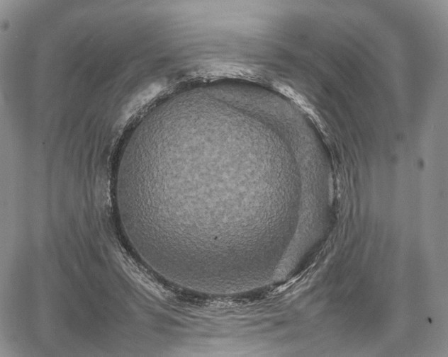 X0000067910399200604171344