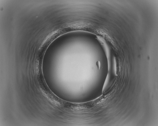 X0000067910400200604171344