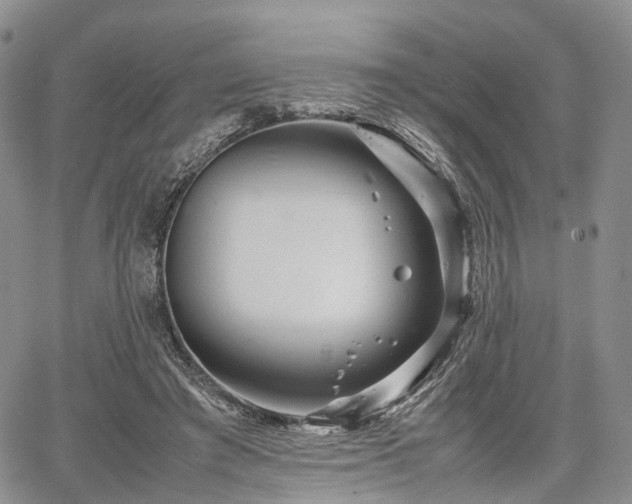 X0000067910401200604171344