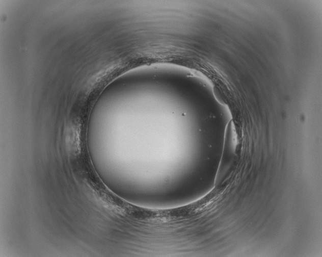 X0000067910404200604171344