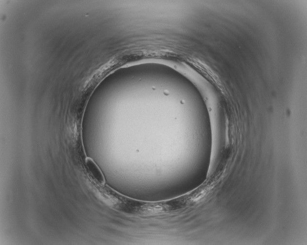 X0000067910405200604171344