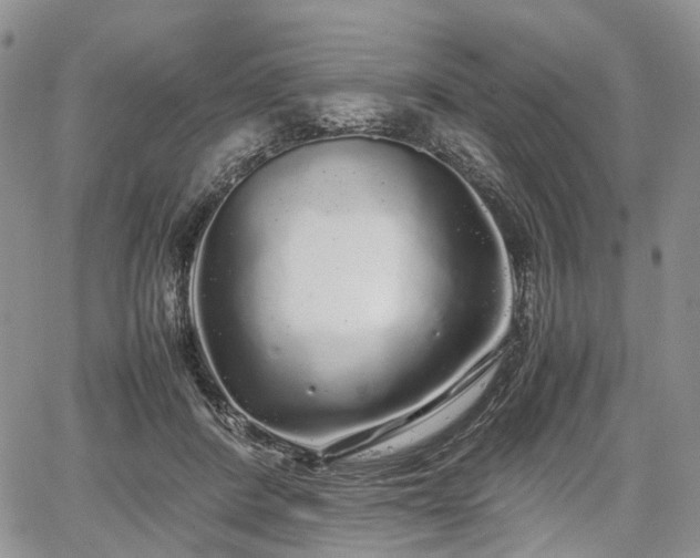 X0000067910408200604171344