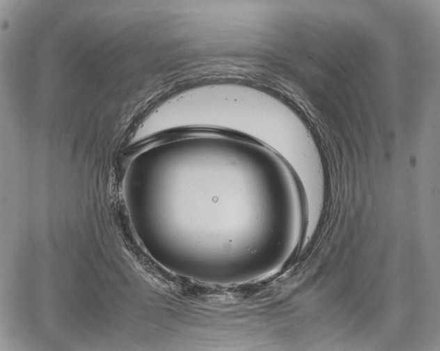 X0000067910411200604171343