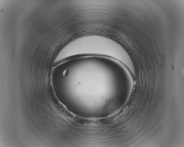 X0000067910412200604171343