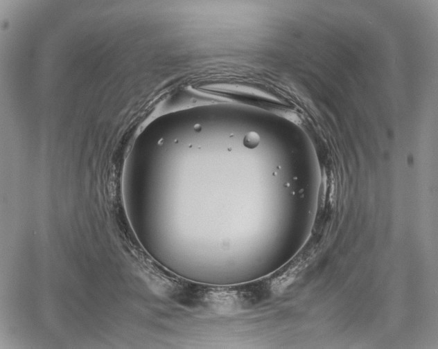 X0000067910413200604171343