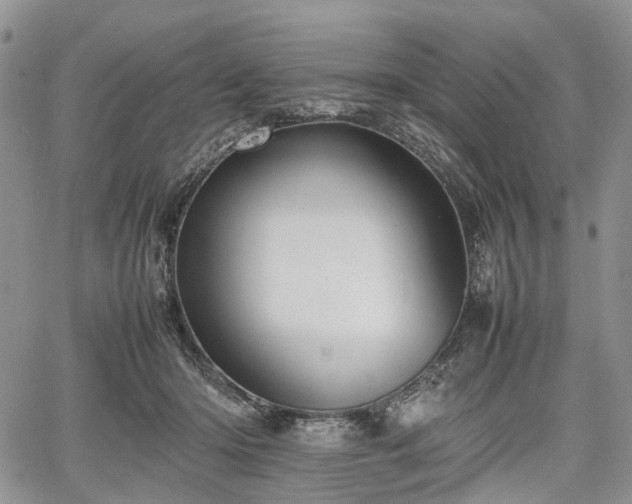 X0000067910414200604171343