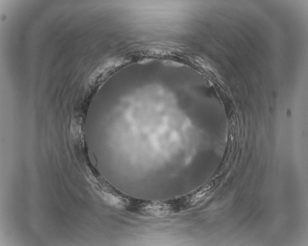 X0000067910415200604171343