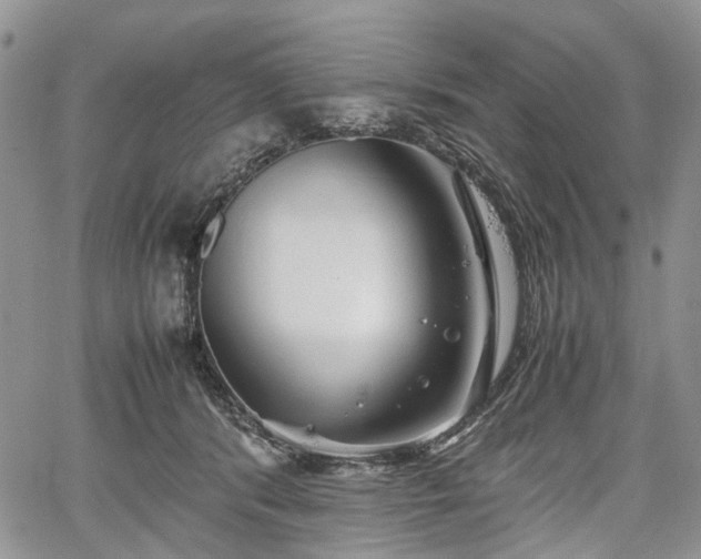 X0000067910416200604171343