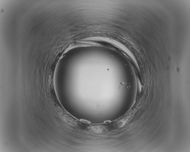 X0000067910417200604171343