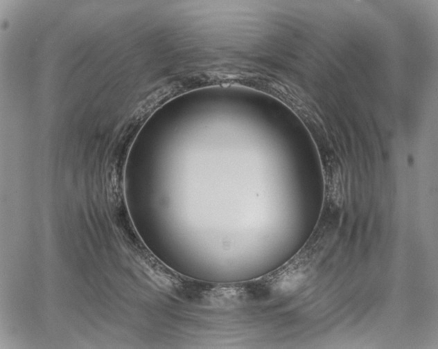 X0000067910418200604171343