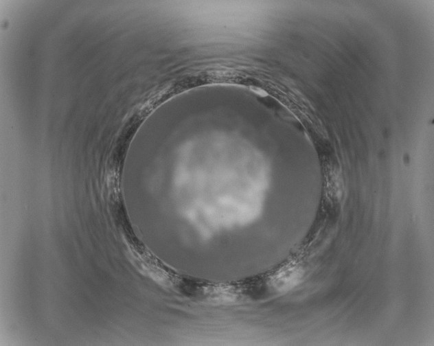 X0000067910419200604171343