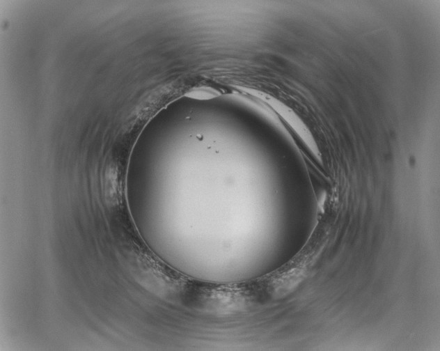 X0000067910420200604171343