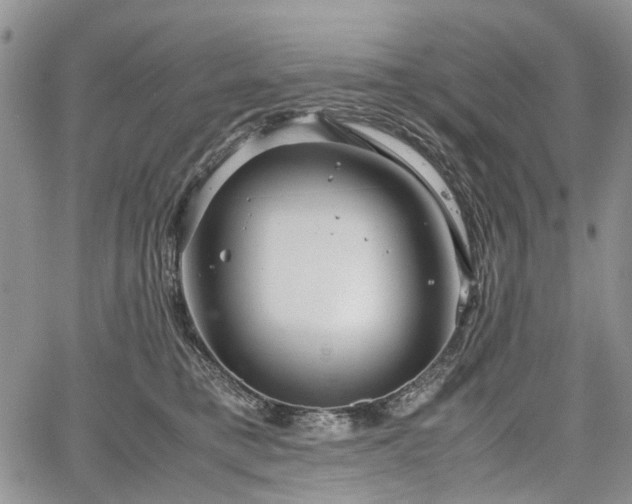 X0000067910421200604171343