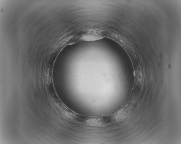 X0000067910422200604171343