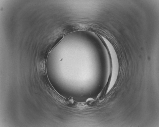 X0000067910425200604171343