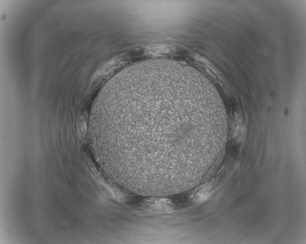 X0000067910427200604171343