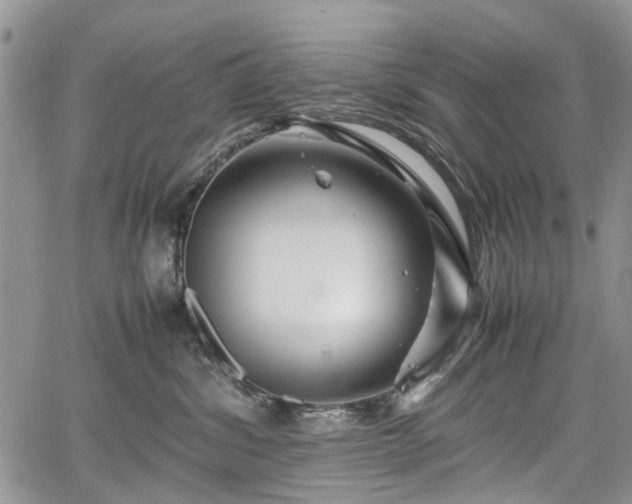 X0000067910428200604171343