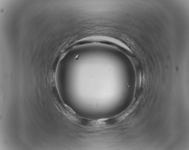 X0000067910429200604171343