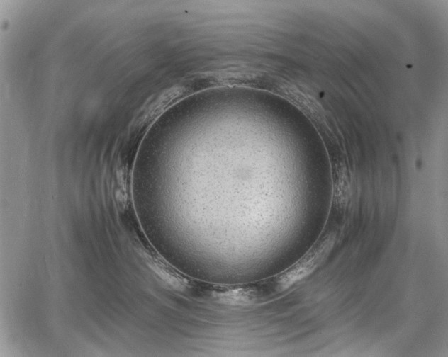 X0000067910430200604171343