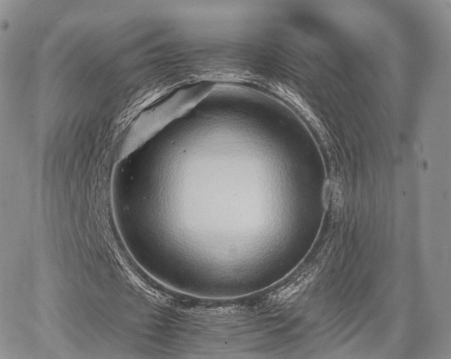 X0000067910433200604171342