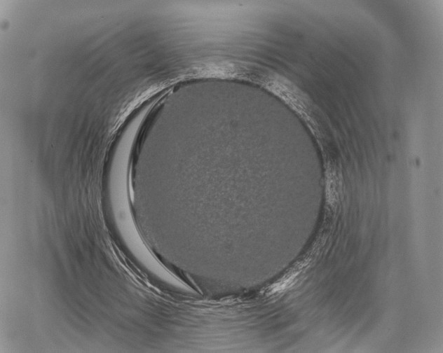 X0000067910434200604171342