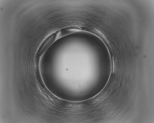 X0000067910435200604171342