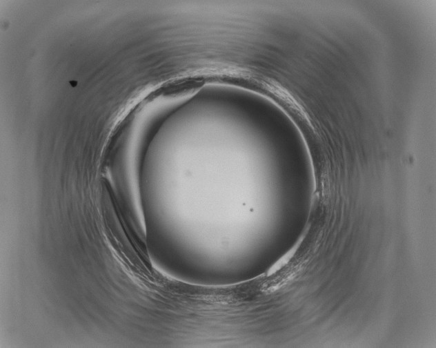 X0000067910436200604171342