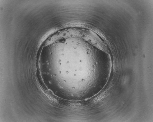 X0000067910438200604171342