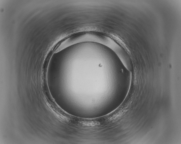 X0000067910439200604171342