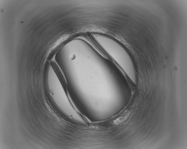 X0000067910440200604171342