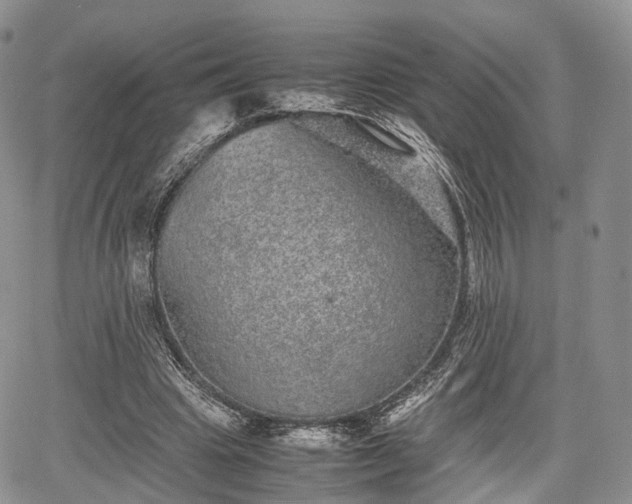 X0000067910441200604171342