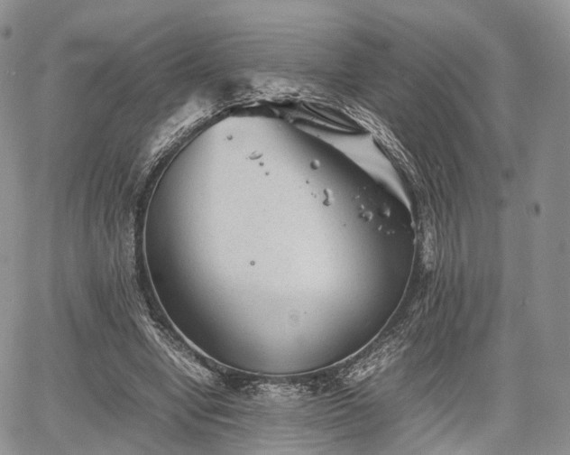 X0000067910442200604171342