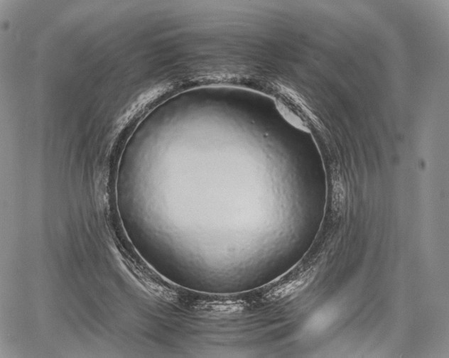 X0000067910443200604171342