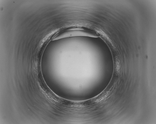 X0000067910444200604171343