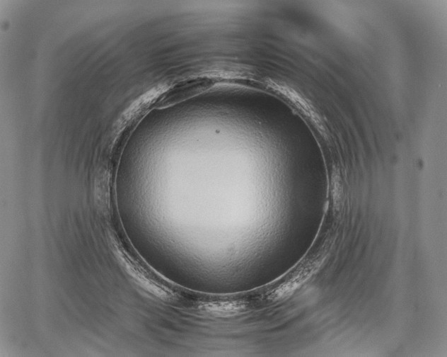 X0000067910445200604171343