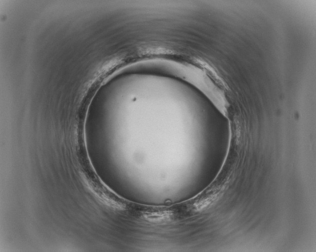 X0000067910447200604171343