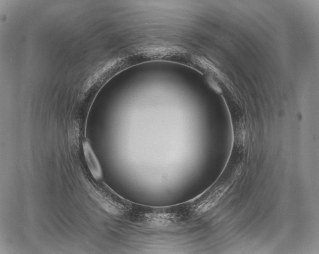 X0000067910448200604171343