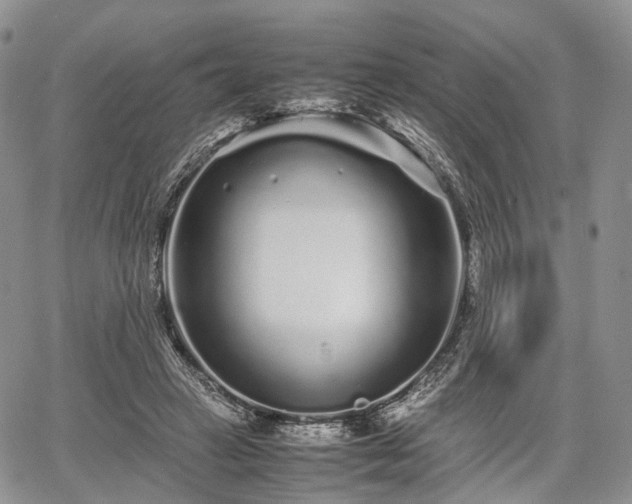 X0000067910449200604171343