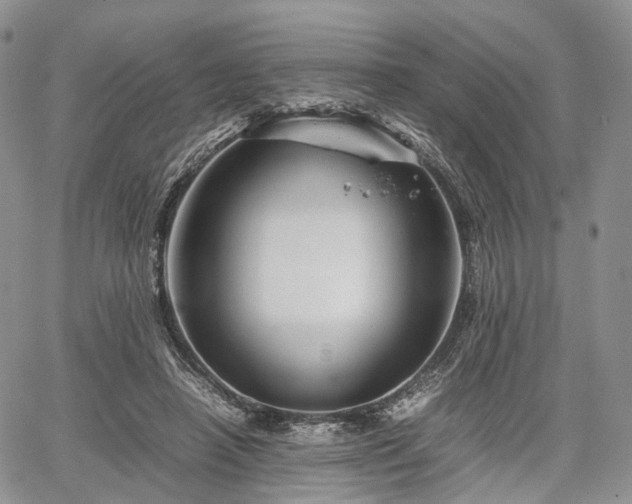 X0000067910450200604171343