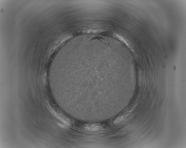 X0000067910451200604171343