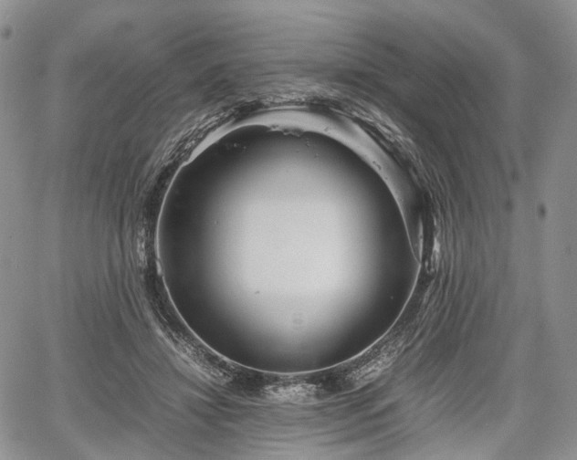 X0000067910452200604171343