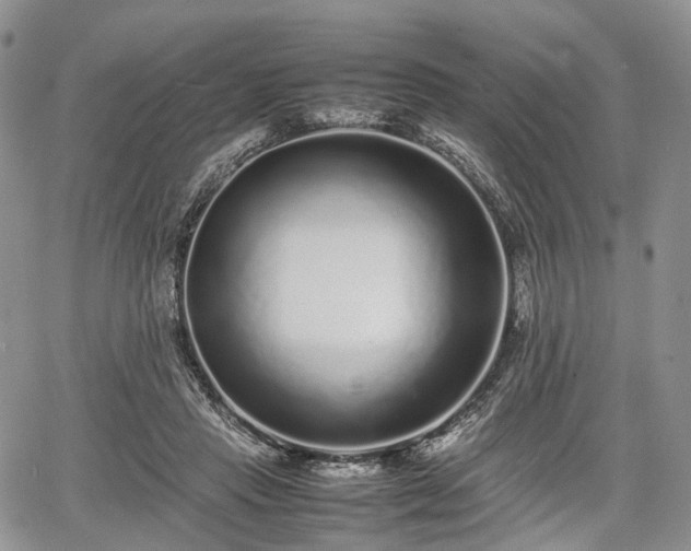 X0000067910453200604171343