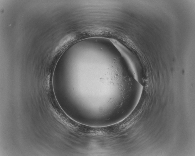 X0000067910454200604171343