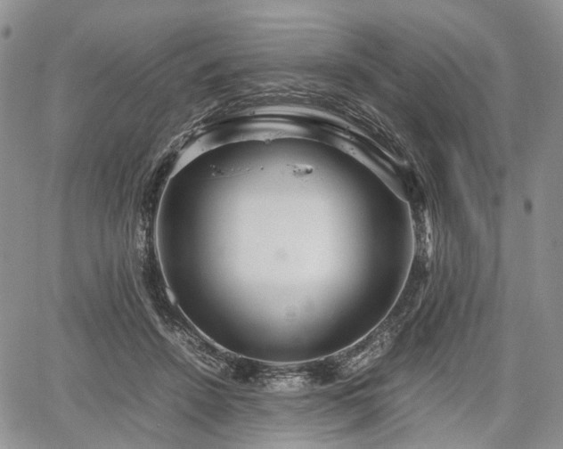 X0000067910456200604171343