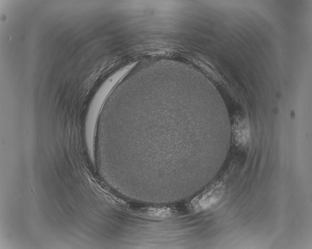 X0000067910458200604171343