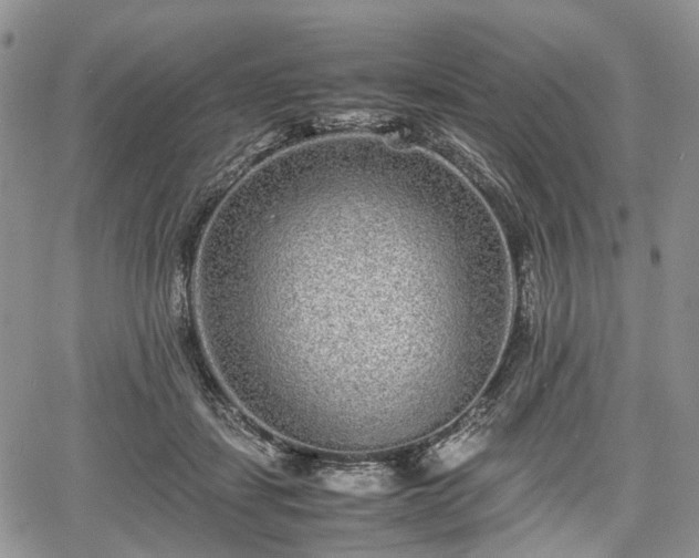 X0000067910459200604171343