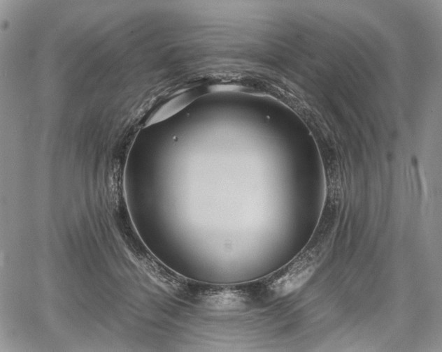 X0000067910460200604171343