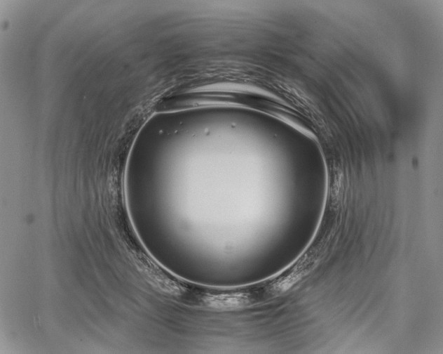 X0000067910461200604171343