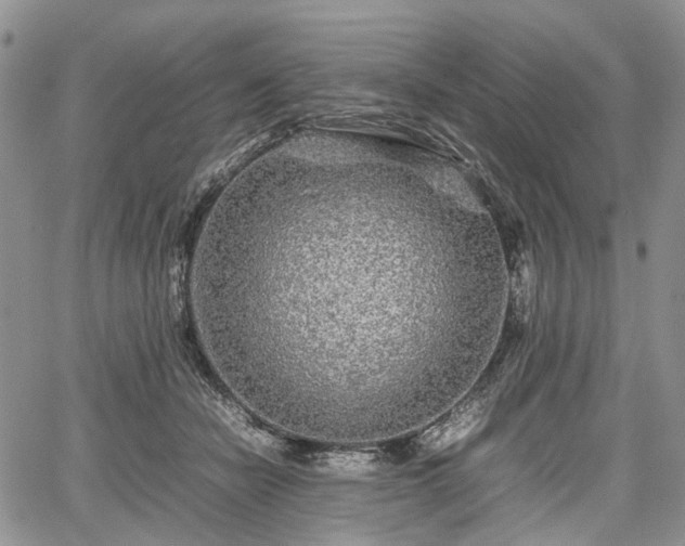 X0000067910462200604171343