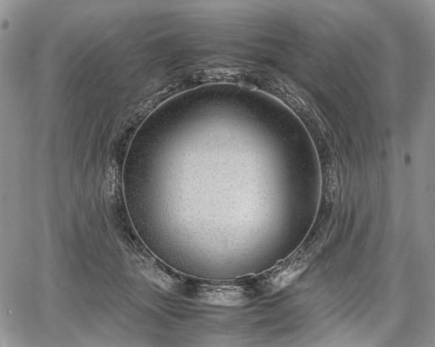 X0000067910463200604171343